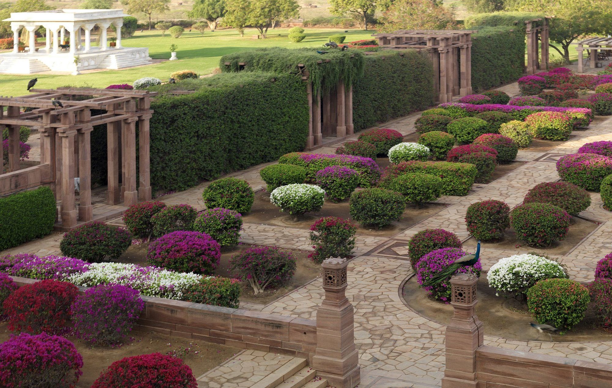 Umaid Bhawan Palace Jodhpur Hotel Dzsódhpur Létesítmények fotó